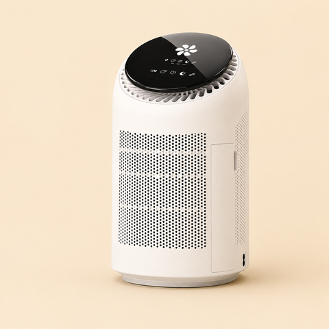 Purificateur d'Air & Déshumidificateur